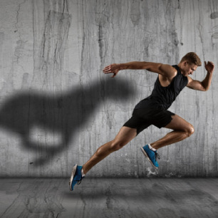 Ebook - La nutrithérapie et le sport (Questions- réponses)