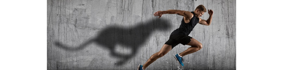 L'expérience "Cap Energie" 💪